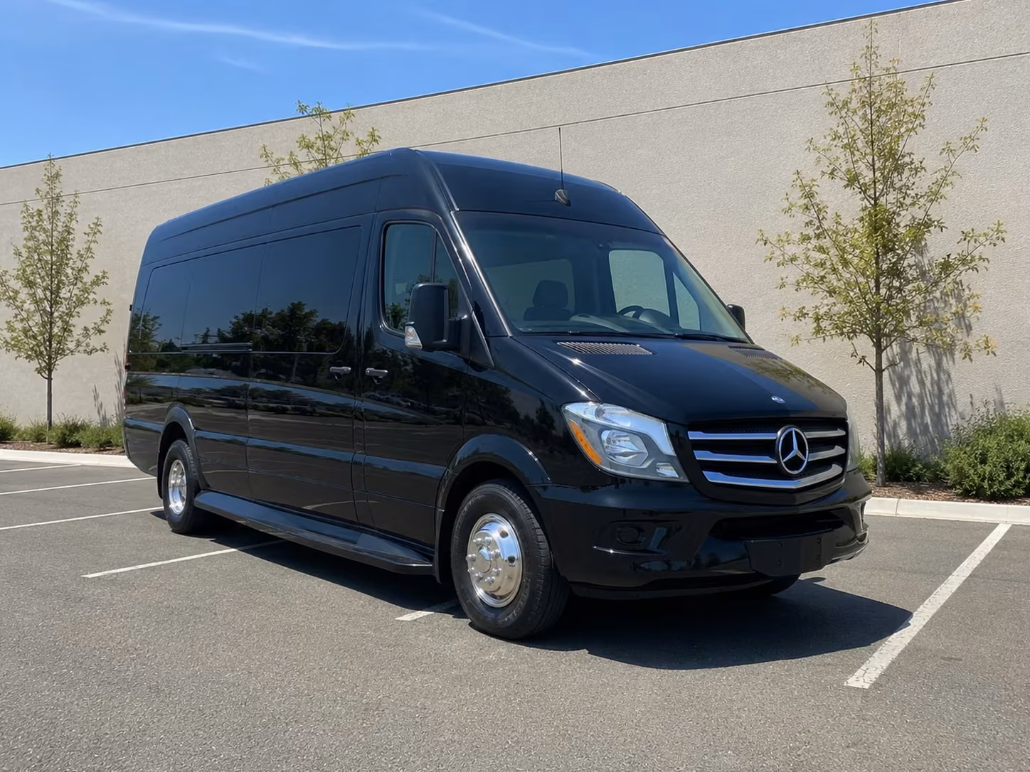 sprinter van with driver